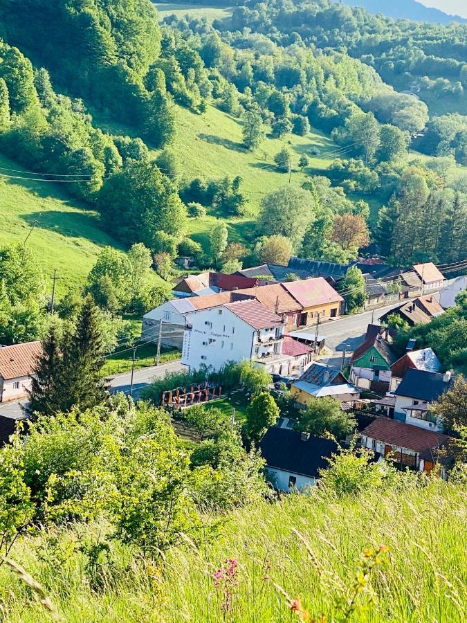 Pensiune Muntii Aninei Anina Bagian luar foto