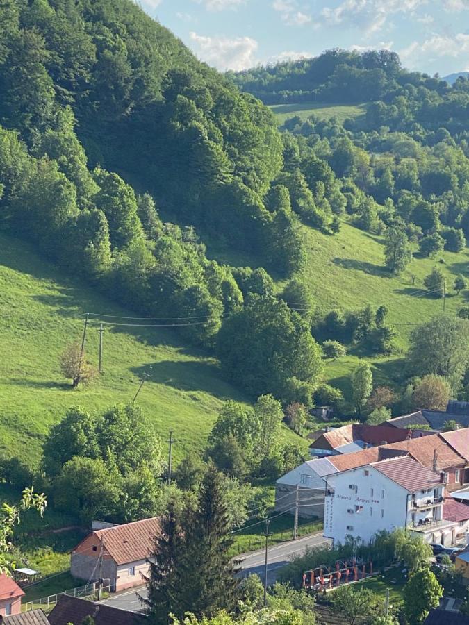 Pensiune Muntii Aninei Anina Bagian luar foto