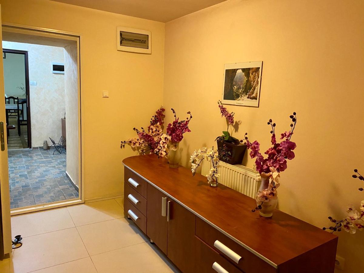 Pensiune Muntii Aninei Anina Bagian luar foto