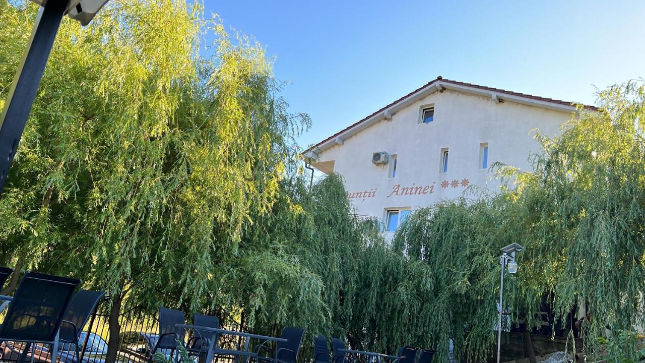 Pensiune Muntii Aninei Anina Bagian luar foto